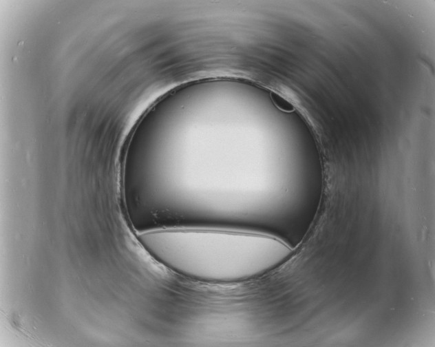 X0000103291140200808291102
