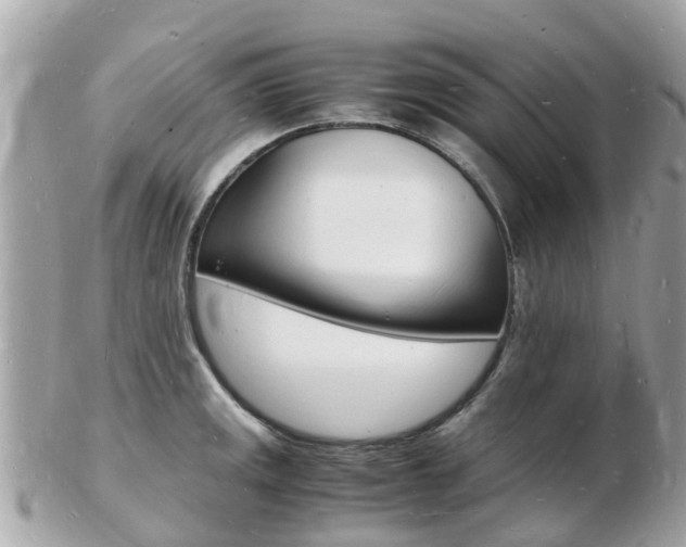 X0000103291141200808291102