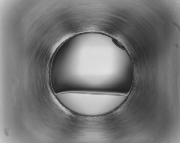 X0000103291142200808291102