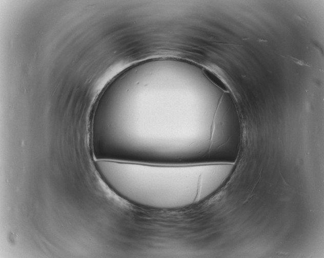 X0000103291143200808291102