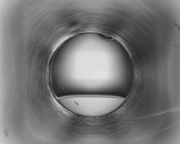 X0000103291147200808291102