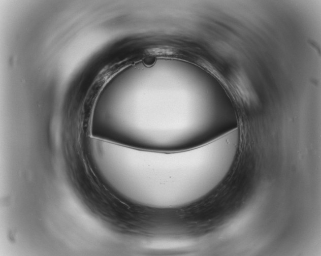 X0000103291151200808291102