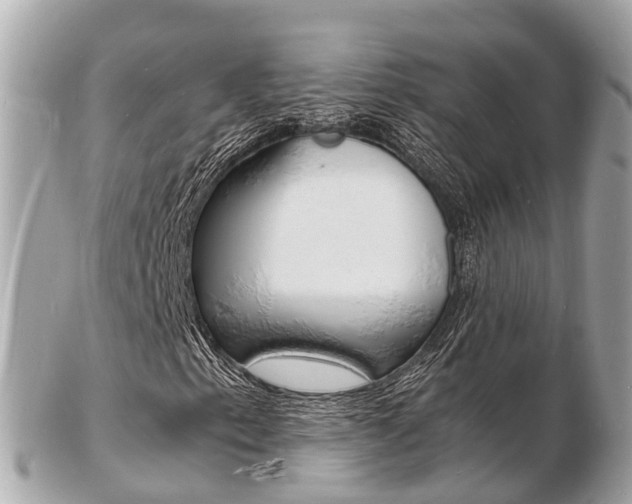 X0000103291153200808291102