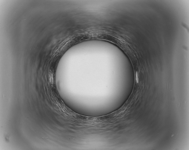 X0000103291155200808291102