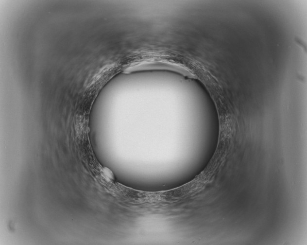 X0000103291157200808291102