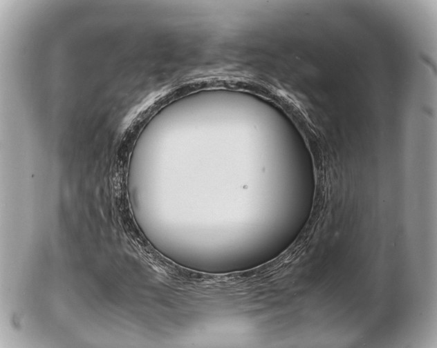 X0000103291159200808291102
