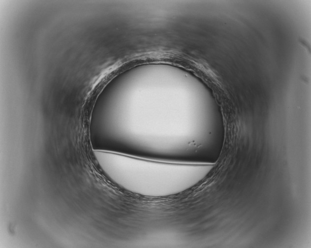X0000103291160200808291102