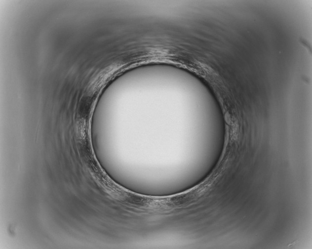 X0000103291161200808291102