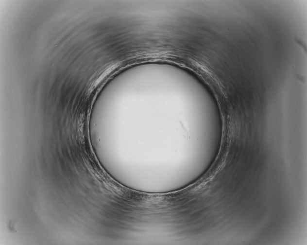 X0000103291162200808291102