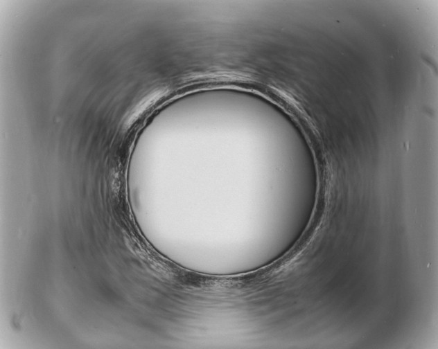 X0000103291163200808291102