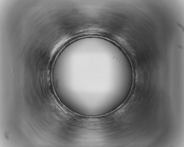 X0000103291164200808291101