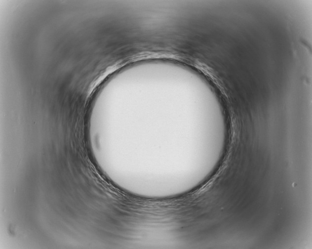 X0000103291165200808291101