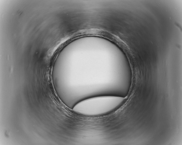 X0000103291166200808291101