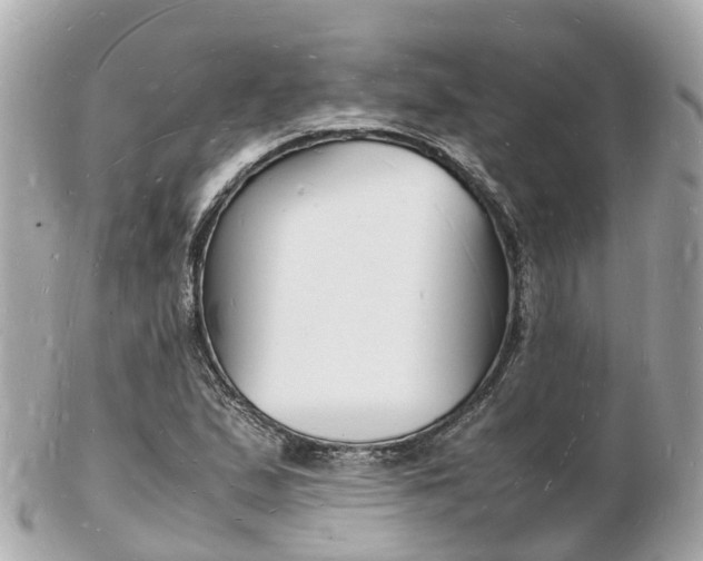X0000103291167200808291101