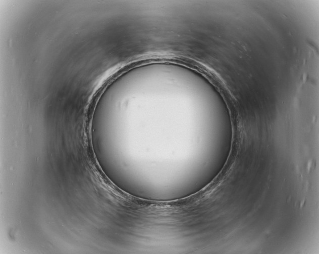 X0000103291168200808291101