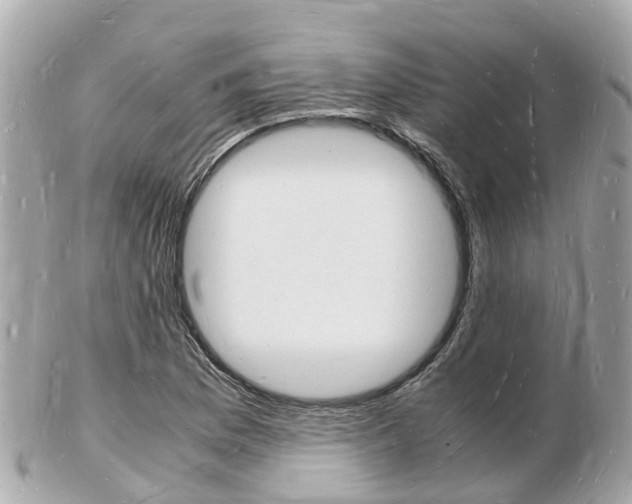X0000103291169200808291101