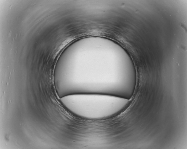 X0000103291170200808291101