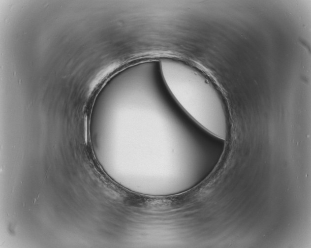 X0000103291171200808291101
