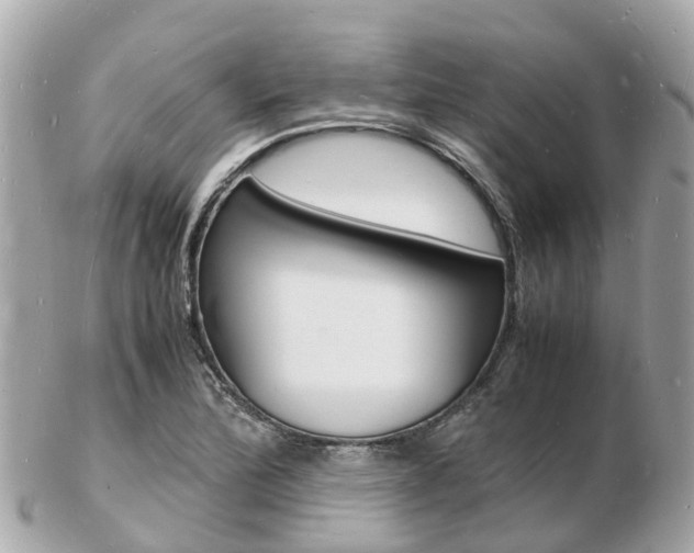X0000103291172200808291101
