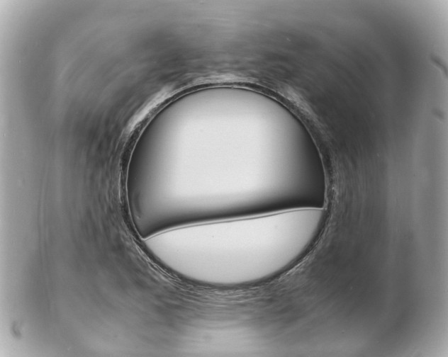 X0000103291173200808291101