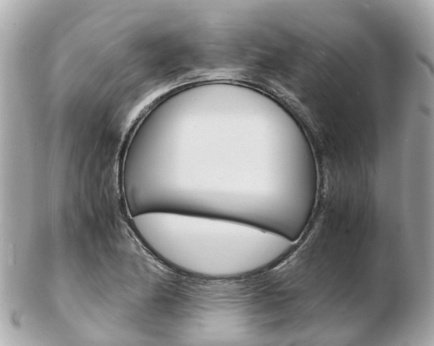 X0000103291174200808291101