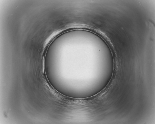 X0000103291175200808291101