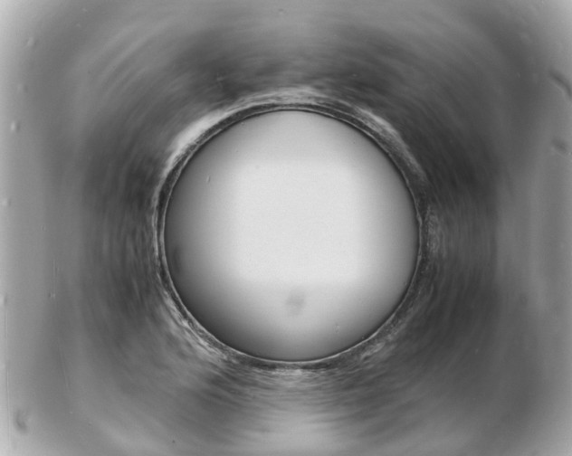 X0000103291176200808291101
