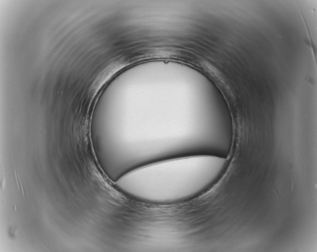 X0000103291178200808291101