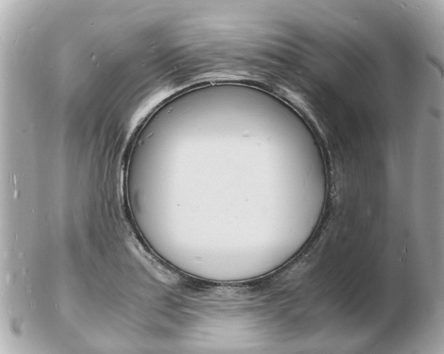 X0000103291179200808291101