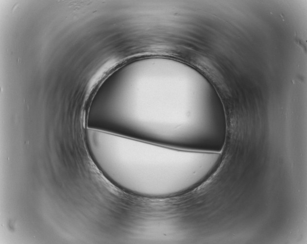 X0000103291180200808291101