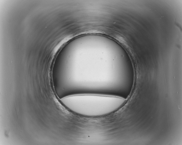 X0000103291181200808291101