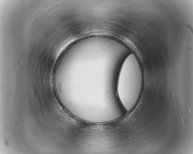 X0000103291182200808291101