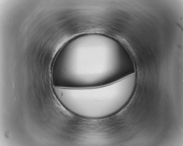 X0000103291184200808291101