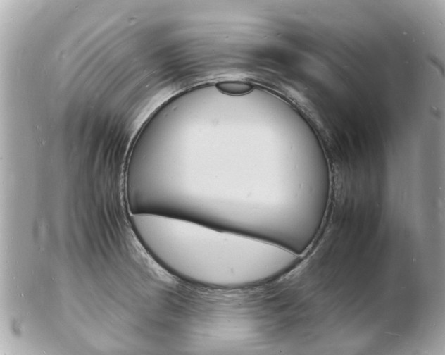 X0000103291186200808291101