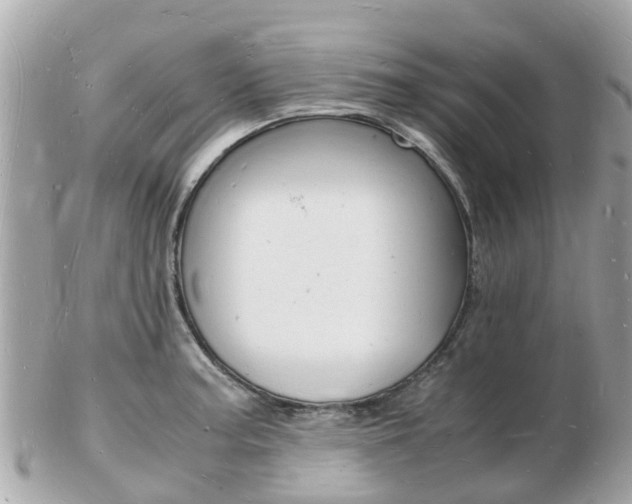 X0000103291187200808291101