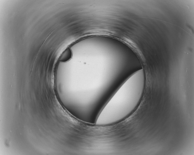 X0000103291188200808291101