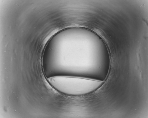 X0000103291189200808291101