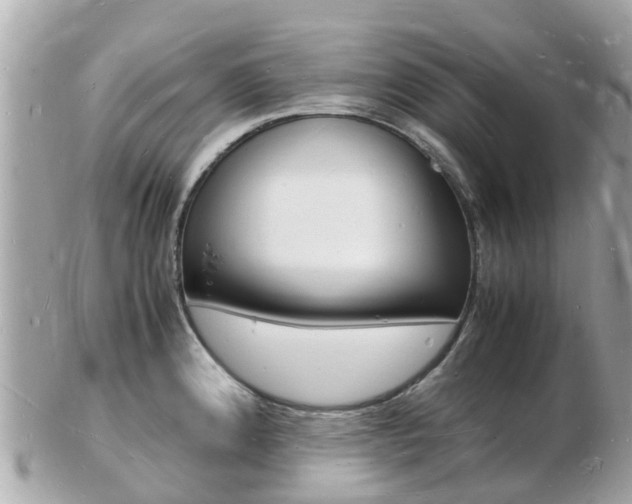 X0000103291192200808291101