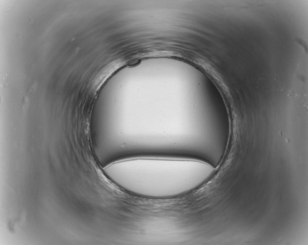 X0000103291193200808291101