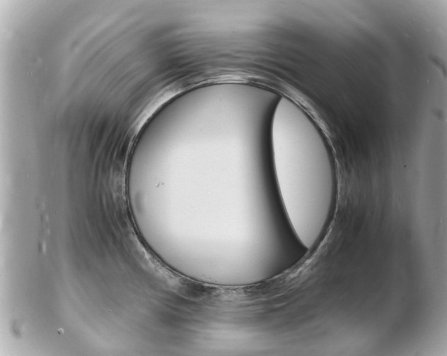 X0000103291194200808291101