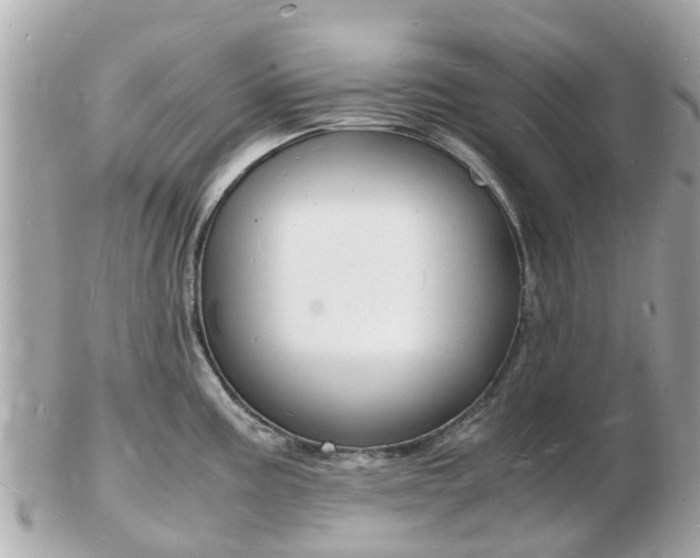 X0000103291195200808291101