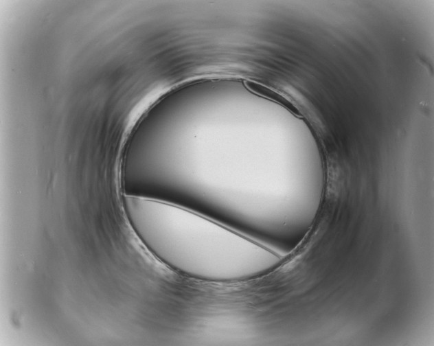 X0000103291196200808291101