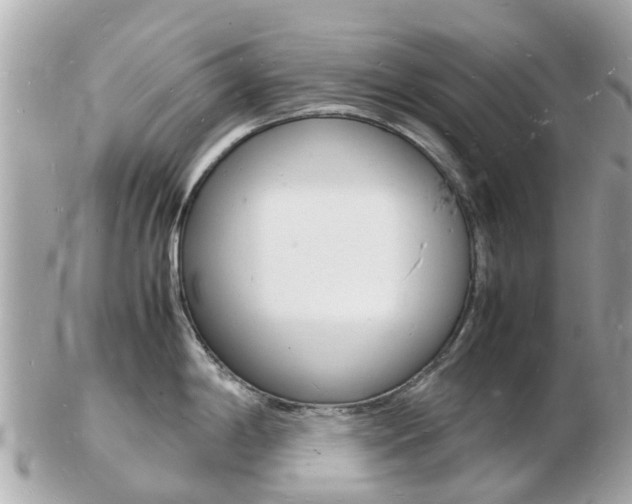 X0000103291198200808291101