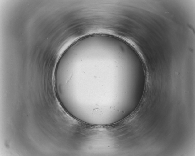 X0000103291199200808291101