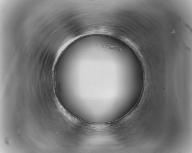 X0000103291200200808291101