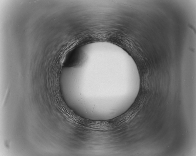 X0000103291201200808291100