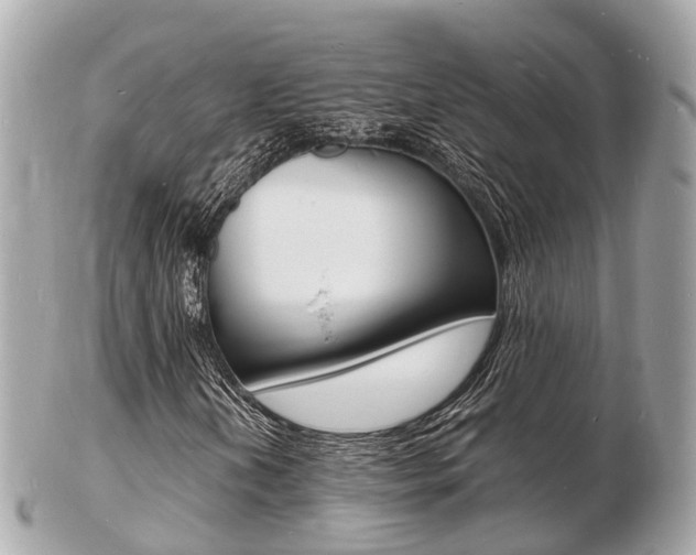 X0000103291202200808291100