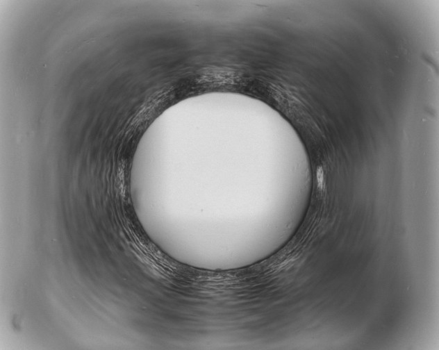 X0000103291203200808291100