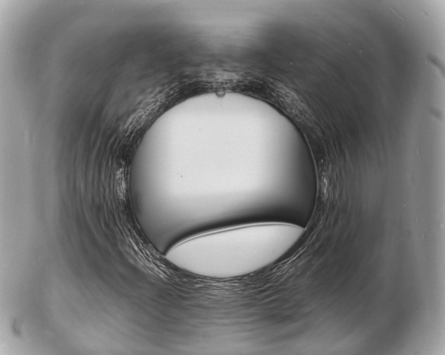 X0000103291204200808291100