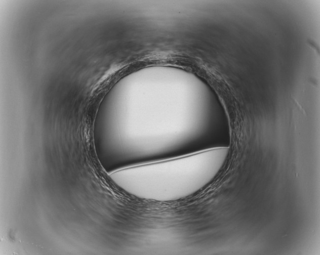 X0000103291206200808291100